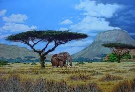 Best Countries to Visit in Africa : 2026 Complete Travel Guide Best Countries to Visit in Africa